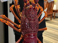 -金唐海鲜酒家