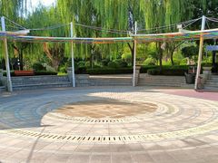 -南宫五洲植物乐园