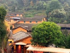 -杨家堂村