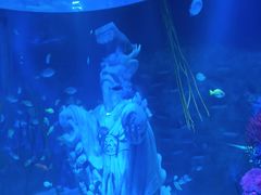 -沈阳海洋探索中心