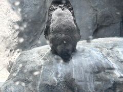 -合肥野生动物园
