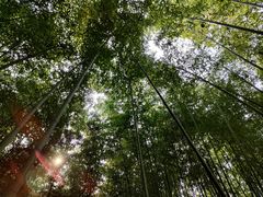 -竹泉村旅游度假区