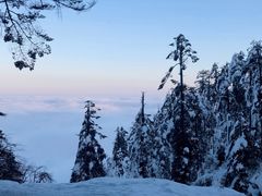 -瓦屋山景区