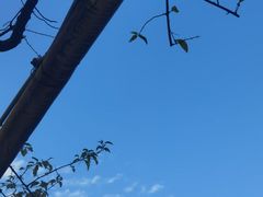 -天赐温泉