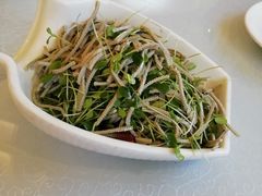 香椿苗拌豆腐丝-博雅渔港·融合菜(维也纳国际大酒店)