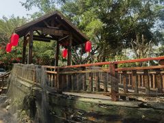 -福山迈臣农家乐