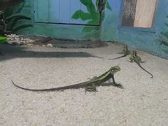 -石家庄市动物园