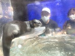 -哈尔滨波塞冬海底世界