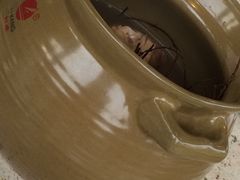 鸡骨草煲汤-水乡人家