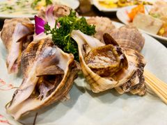 大角螺-抱德·潮汕味(琶洲店原惠城鱼仔)