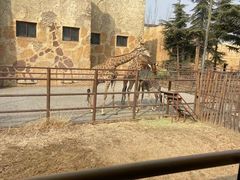 -郑州银基国际旅游度假区
