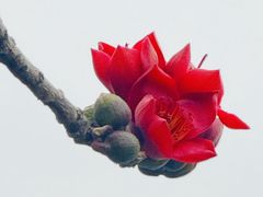 -东山湖公园