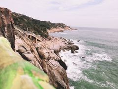 -广东惠东海龟国家级自然保护区