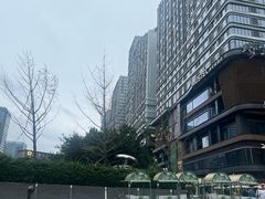 -合景·悠方(成都店)