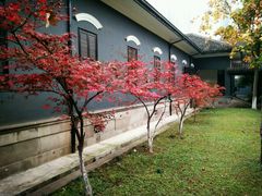 -湖南省立第一师范学校旧址