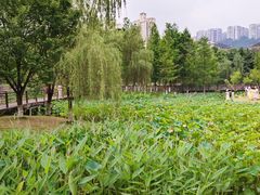 -沐仙湖湿地公园