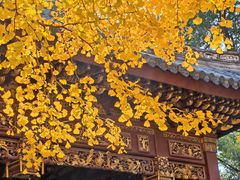 -汇龙潭