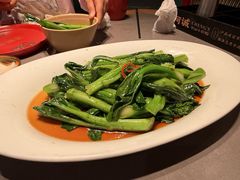 -阿诚市井潮汕菜(金台路店)