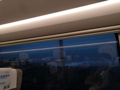 -岳阳东站