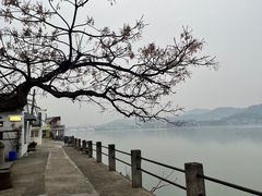-东钱湖旅游度假区