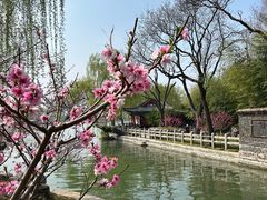 -济南大明湖景区