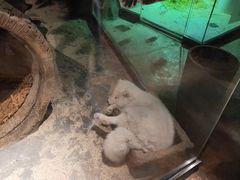 -zoonana室内动物园(东方福来德店)