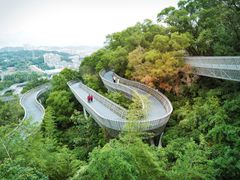 -福道