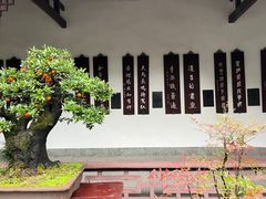 -成都杜甫草堂博物馆