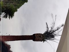 -上海月湖雕塑公园