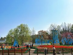 -宜兴龙背山森林公园
