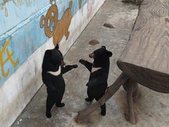 -青峰峡国家森林公园