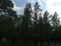 -晓港公园