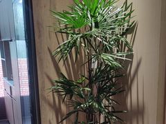 -竹犇番茄火锅(长风街店)