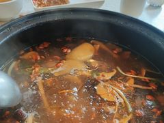 -蜀皇·菌汤鲜黄牛肉汤锅(宽窄巷子店)