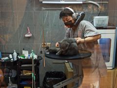 -悠尼宠物·独立低压伊珊娜洗护·美容·寄养(兰谷路店)