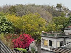 -东莞市可园博物馆