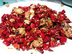 -雲蜀龙阁·金牌水煮鱼(方庄店)