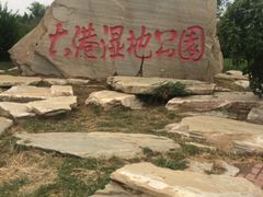 -大港湿地公园
