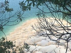 -广州市流溪河国家森林公园