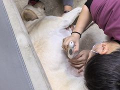 -美联众合动物医院·24h转诊中心