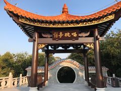-野狸岛