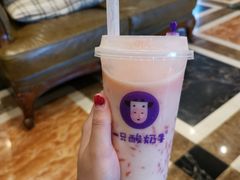 -一只酸奶牛(八一路店)