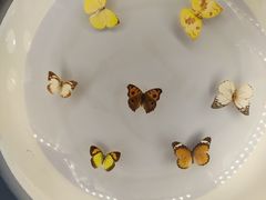 -下渚湖国家湿地公园科普馆