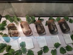 -青岛葡萄酒博物馆