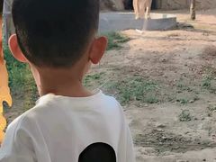 -临沂动植物园