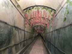 -四会奇石河风景区