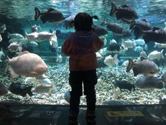 -成都浩海立方海洋公园