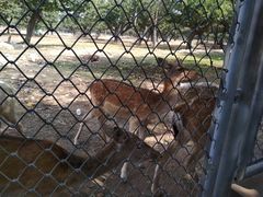 -西安秦岭野生动物园