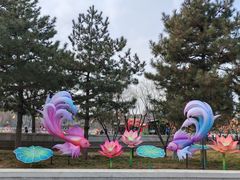 -西海子公园