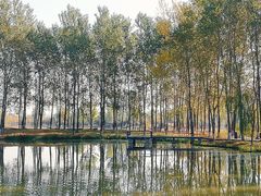 -东郊湿地公园
